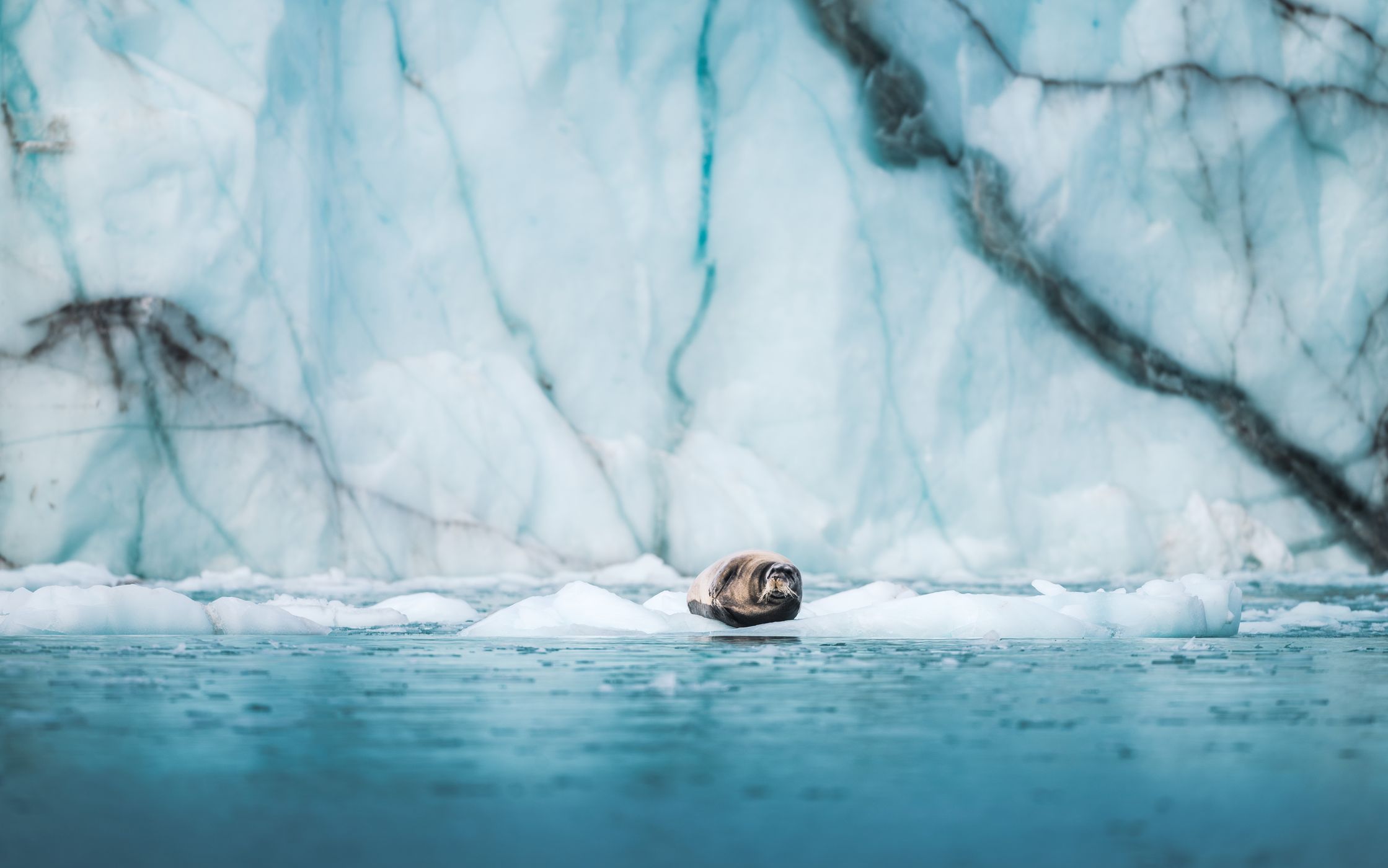 Icewall, Walterhausen Glacier, Greenland