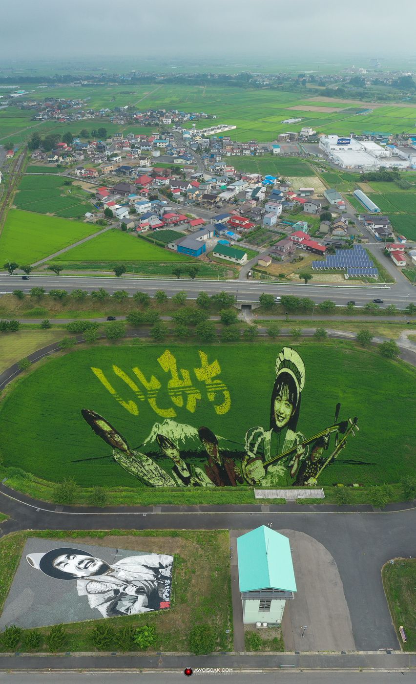 Inakadate Village Rice Field Art Venue 2, Japan