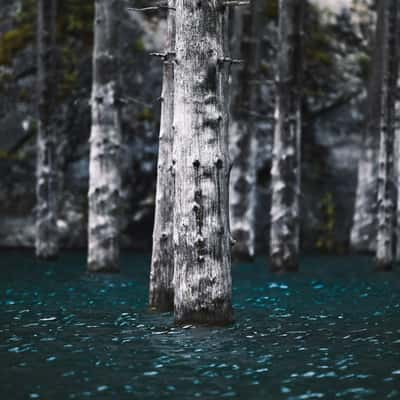 Kaindy Lake, Shoreline View, Kazakhstan