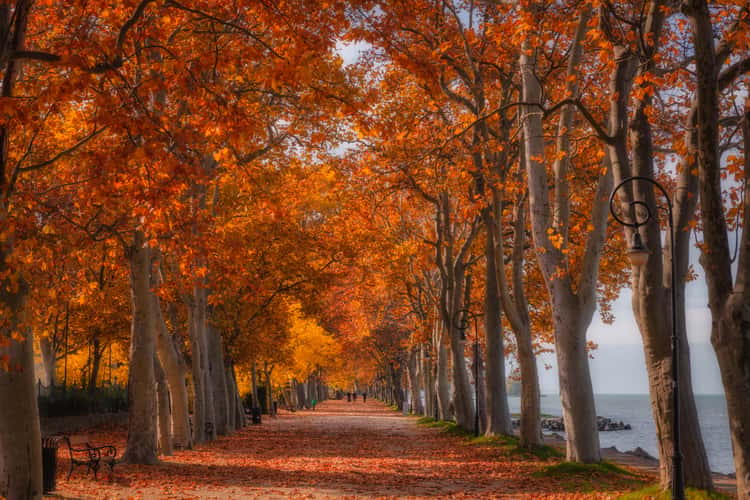 Kvassay sétány, Balatonföldvár