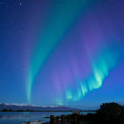 Lake Kaldbakstjarnir, Iceland