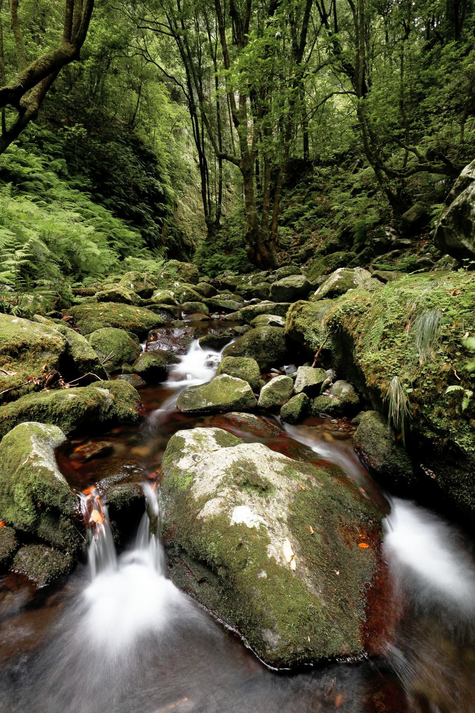 Levada do rei, Portugal
