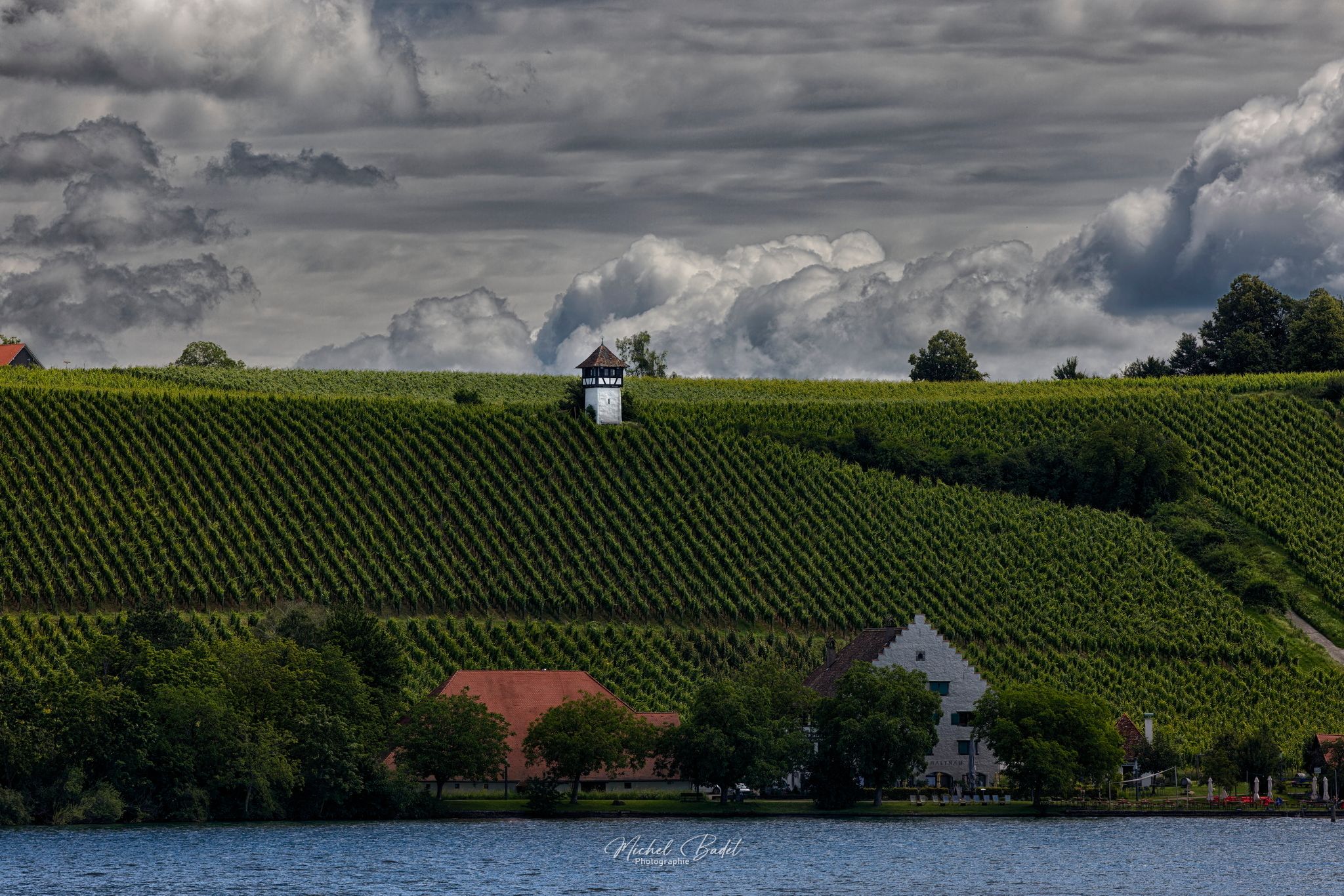 Meersburg (vineyard), Germany