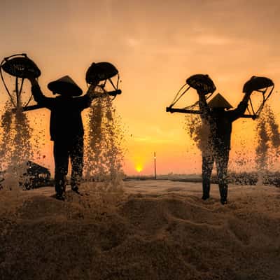 Ninh Hoa - Ninh Diem salt field, Vietnam