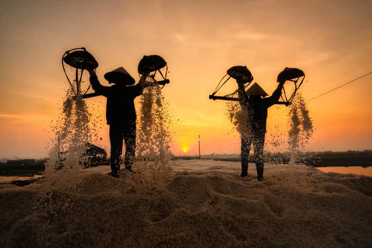 Ninh Hoa - Ninh Diem salt field