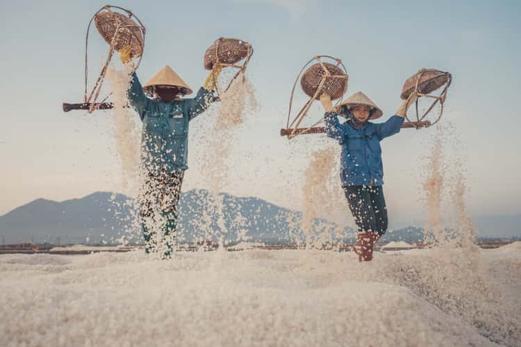 Ninh Hoa - Ninh Diem salt field
