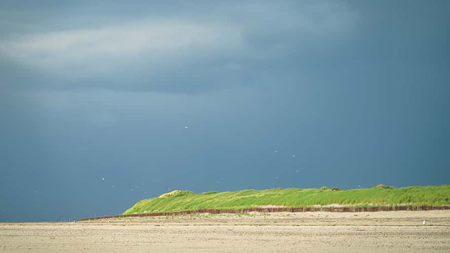 Nordspitze Amrum