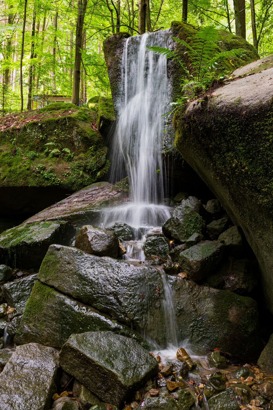 Prosny Waterfalls, Poland, Poland