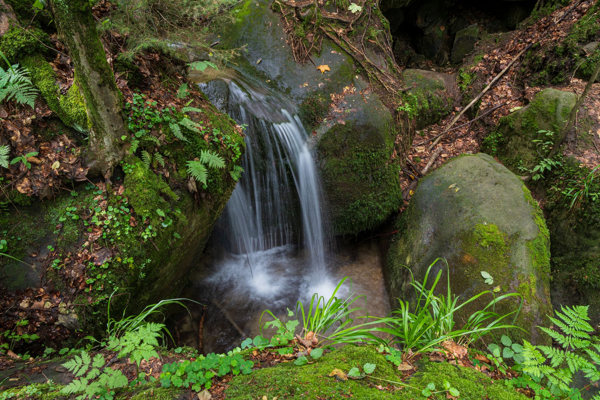 Prosny Waterfalls, Poland, Poland