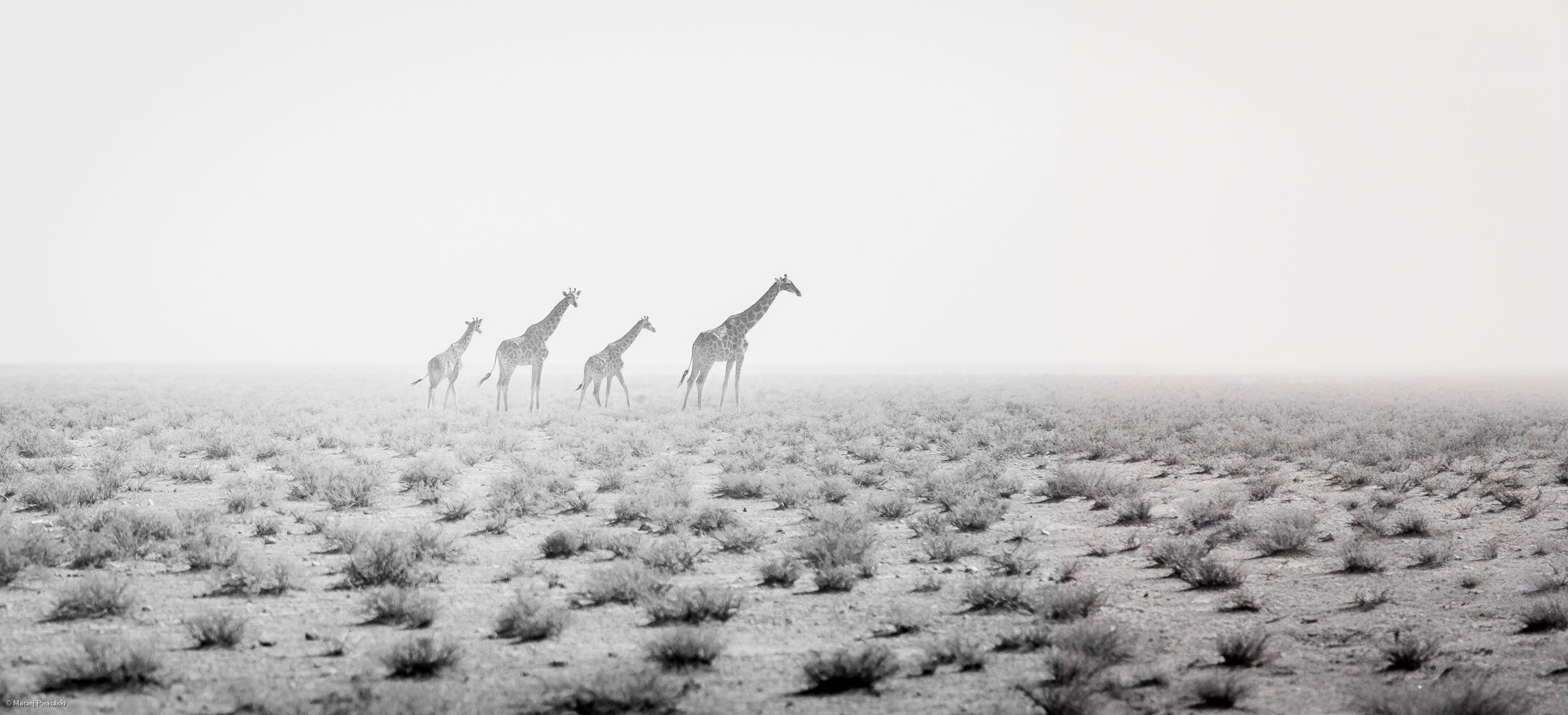 Sand Storm, Namibia