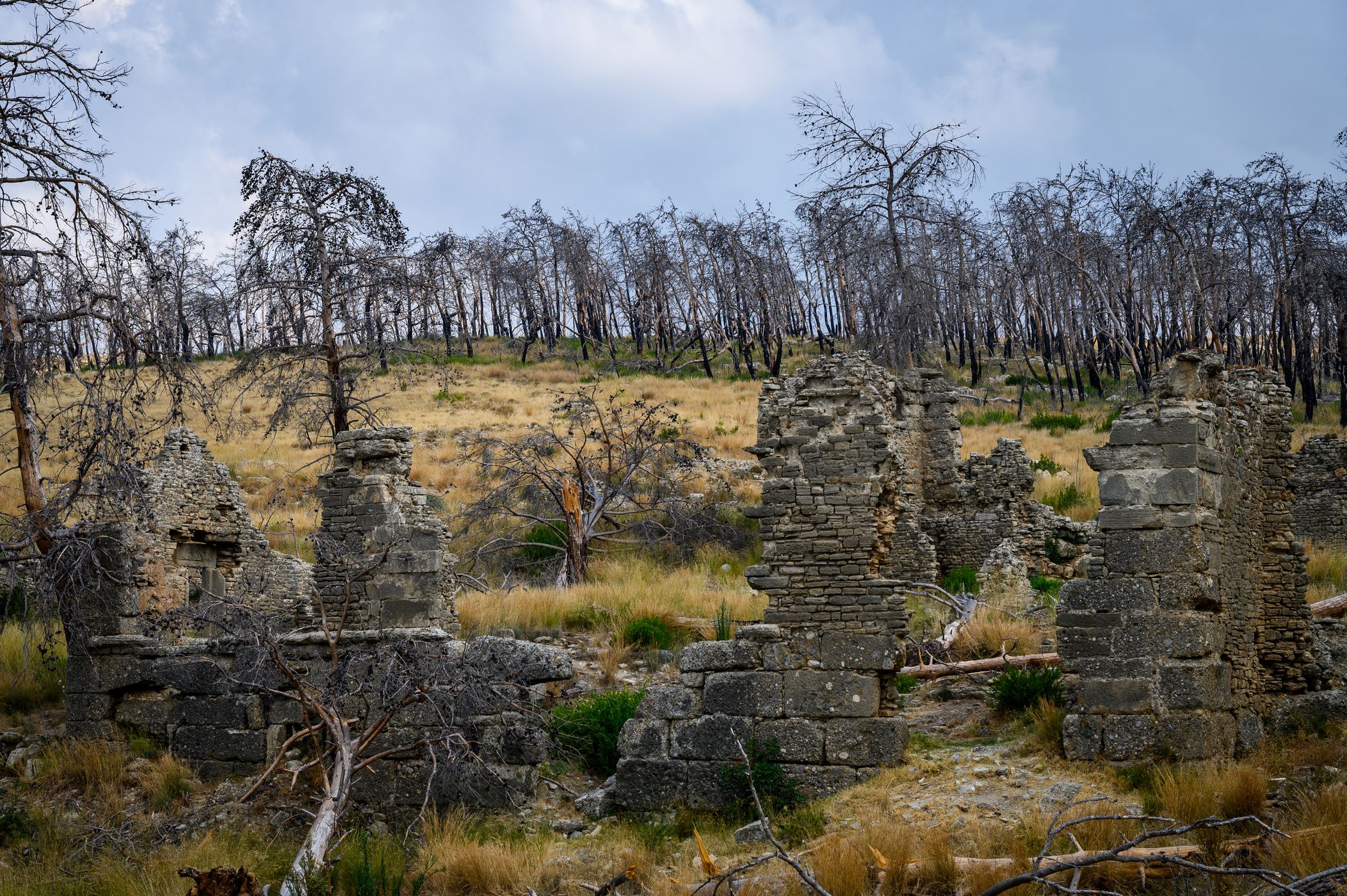 Seleukeia Ancient City, Turkey (Türkiye)
