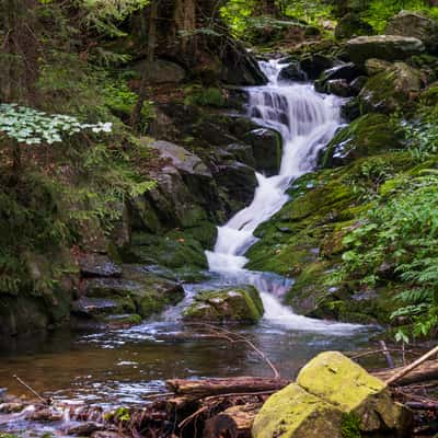 Small Moravy Waterfall, Czech Republic