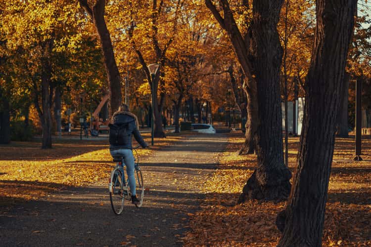 Stadtpark