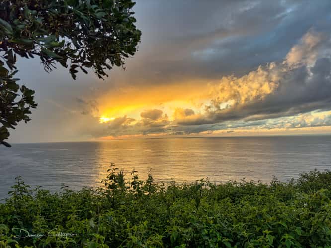 Mona Vale Headland, Mona Vale, Sydney NSW