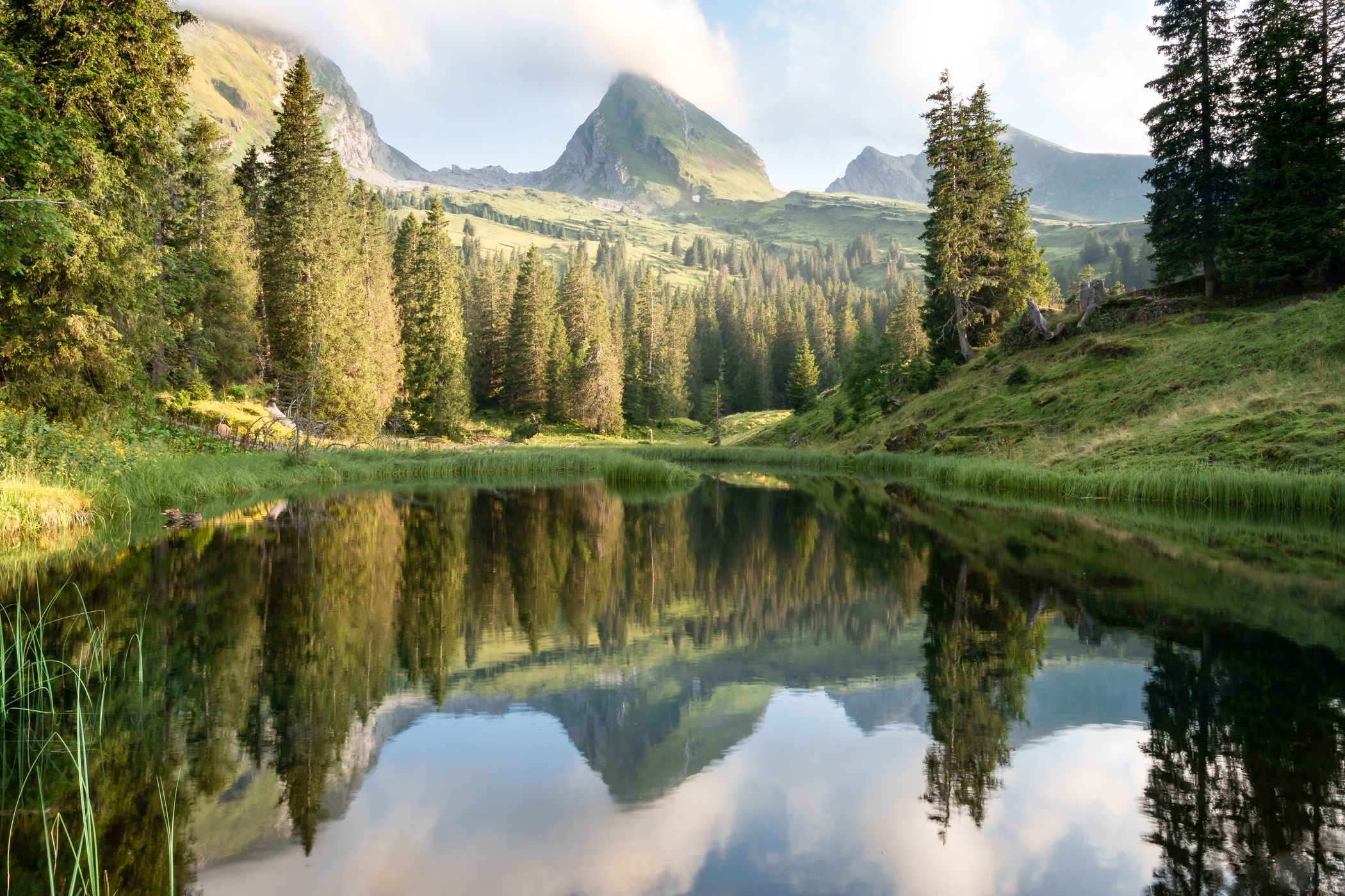 Thurtalerstofel, Switzerland
