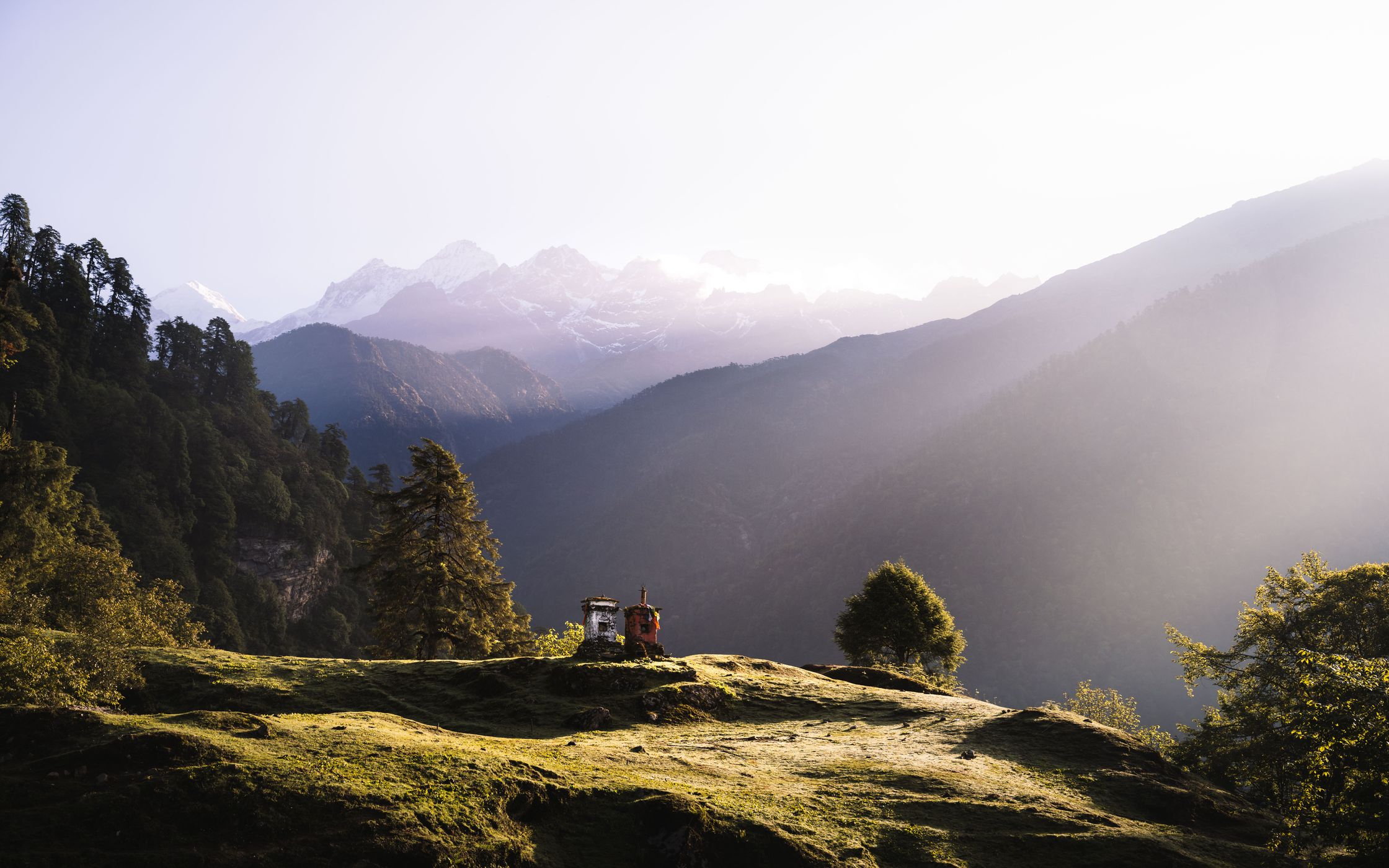 Tshoka Campsite, India