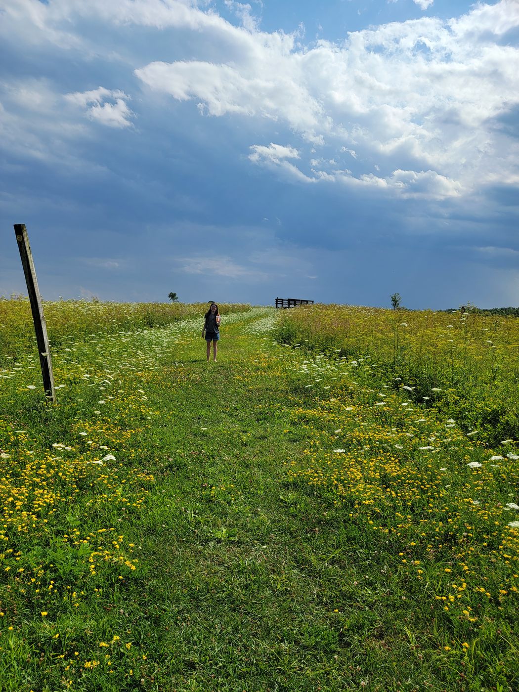 Washington county grasslands, USA