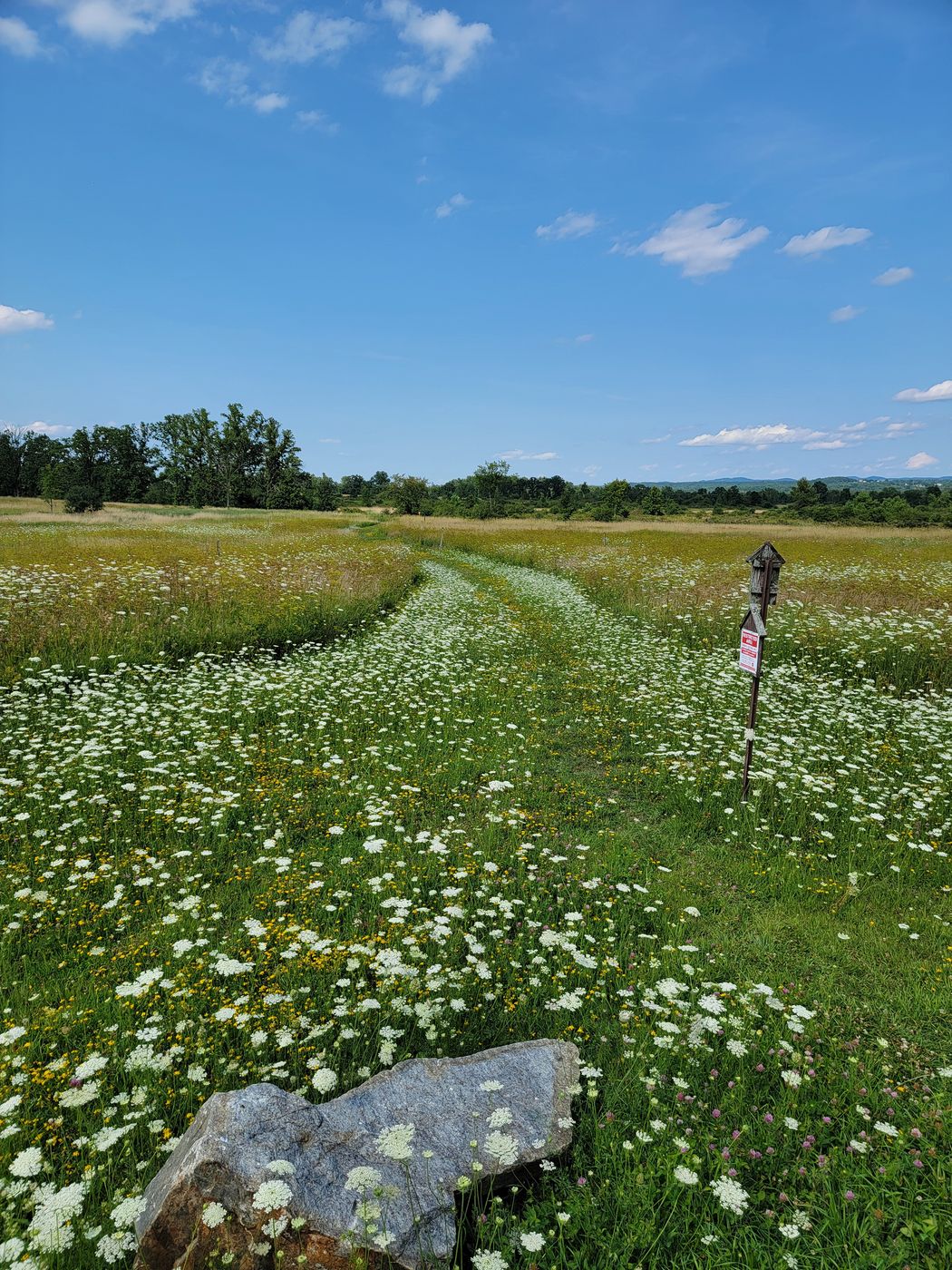 Washington county grasslands, USA