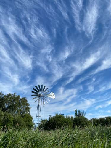 Wicken Fen