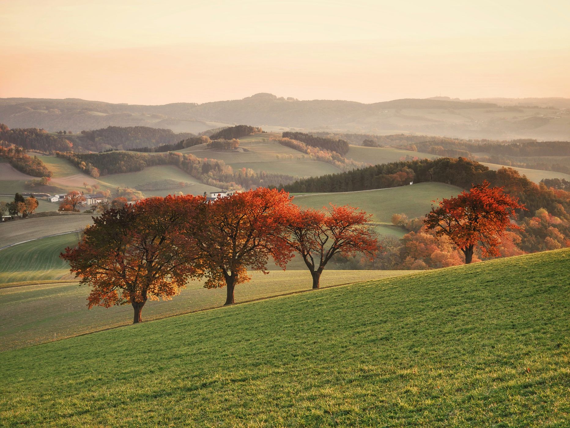 Wiesmath, Austria