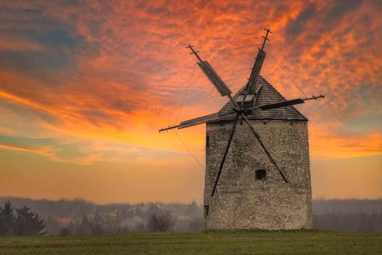 Windmills Tés