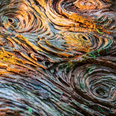 Allt a' Ghualliann Wood, United Kingdom