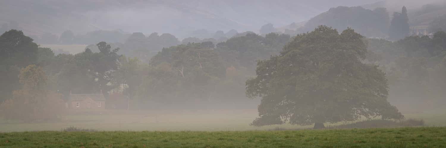 Allt a' Ghualliann Wood