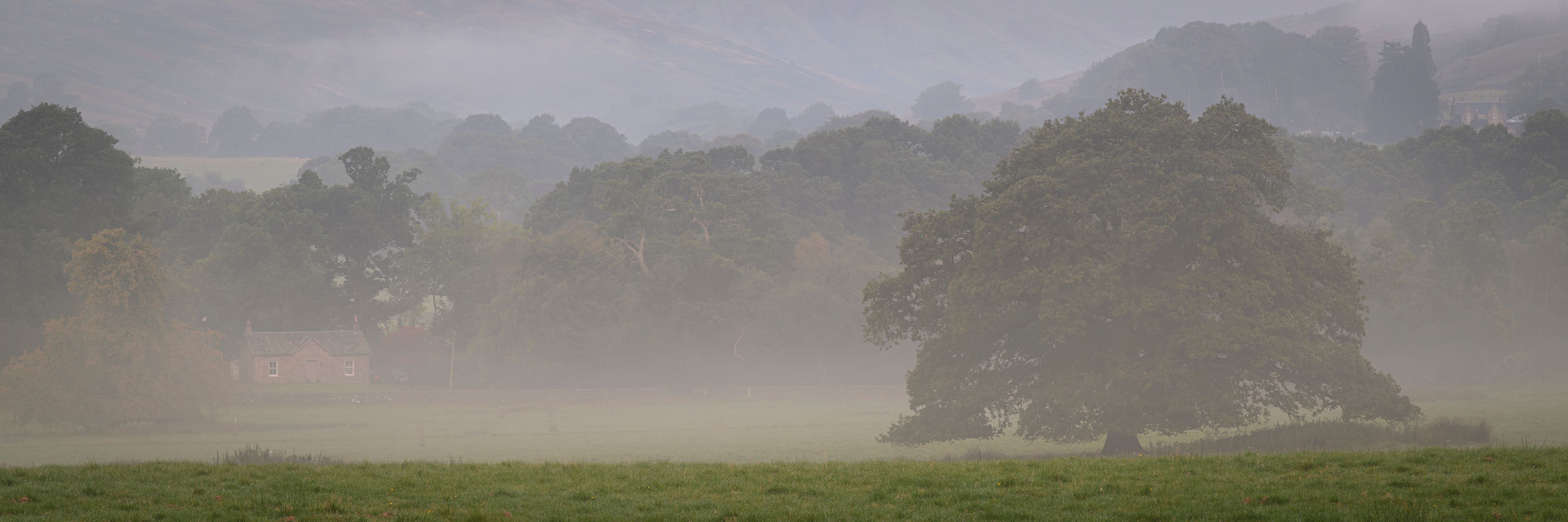 Allt a' Ghualliann Wood, United Kingdom