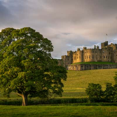 Alnwick Pastures, United Kingdom