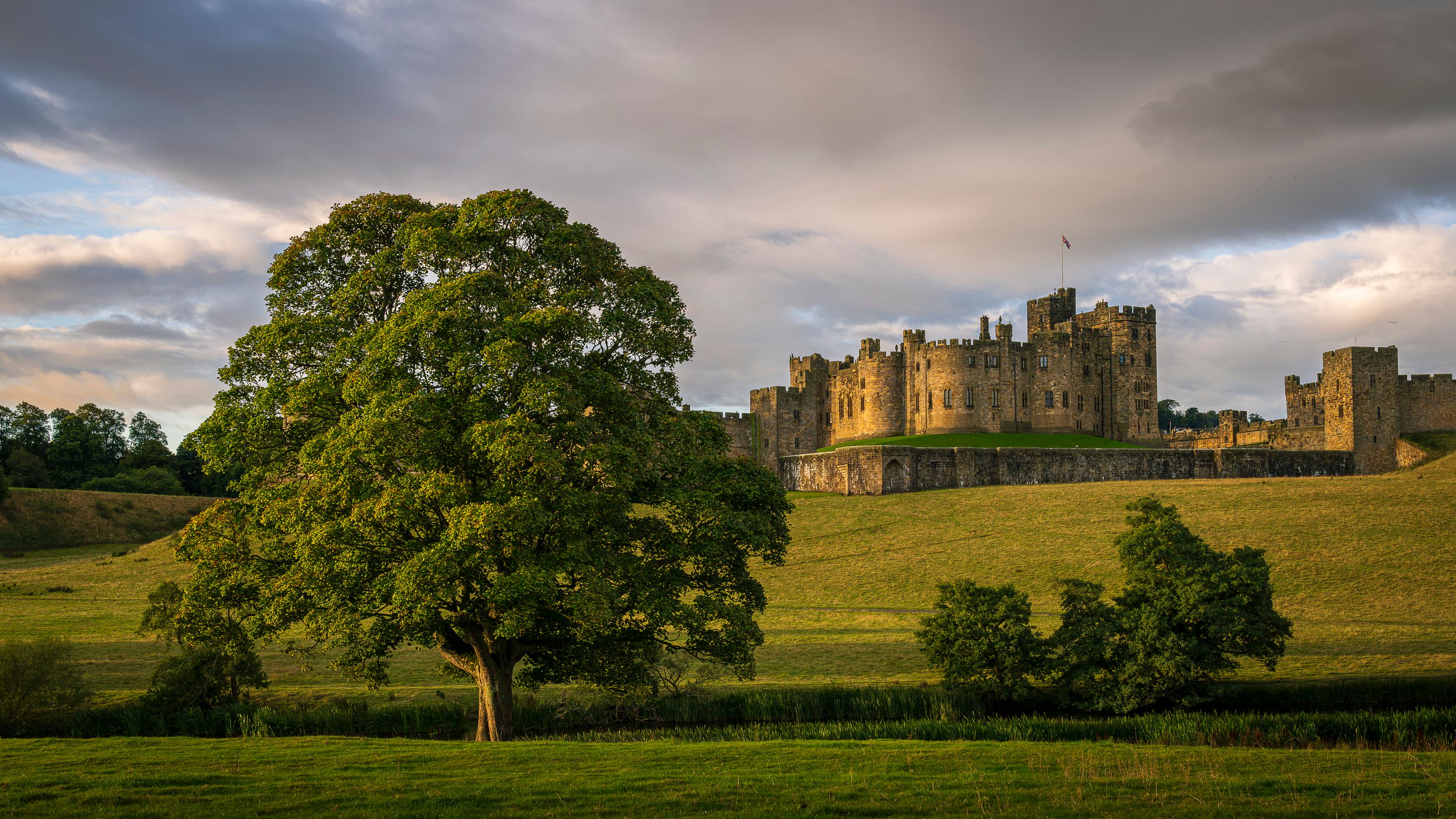 Alnwick Pastures, United Kingdom
