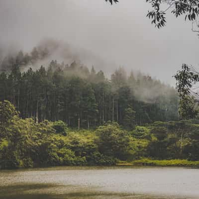 Bellwood, Sri Lanka