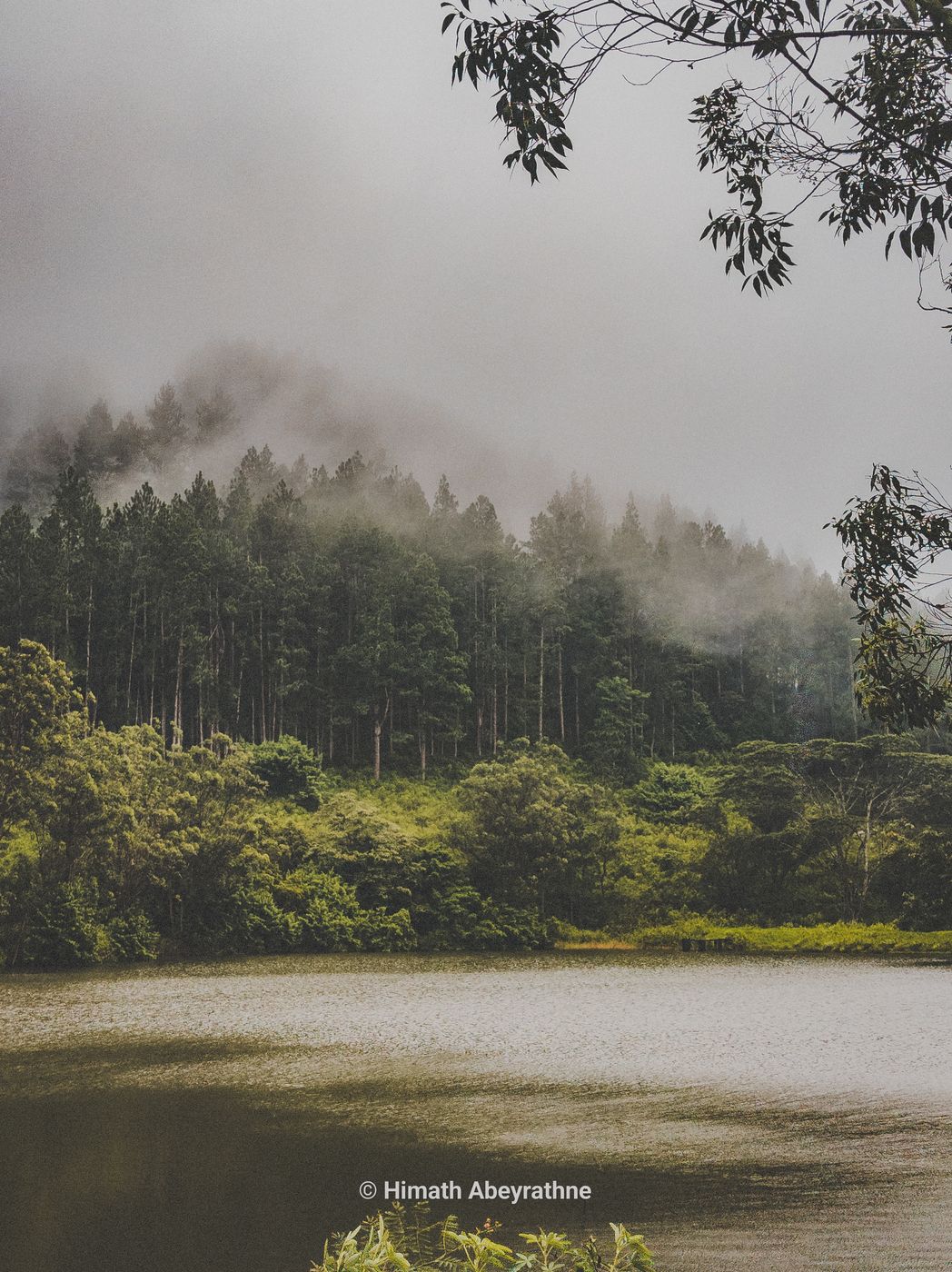 Bellwood, Sri Lanka