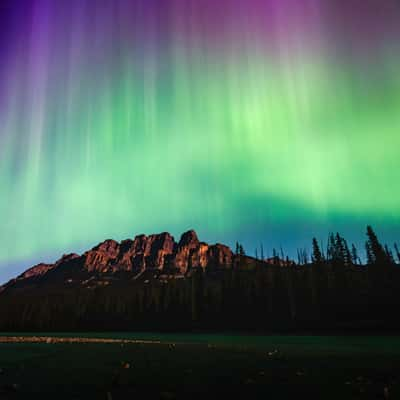 Castle Mtn Junction, Canada