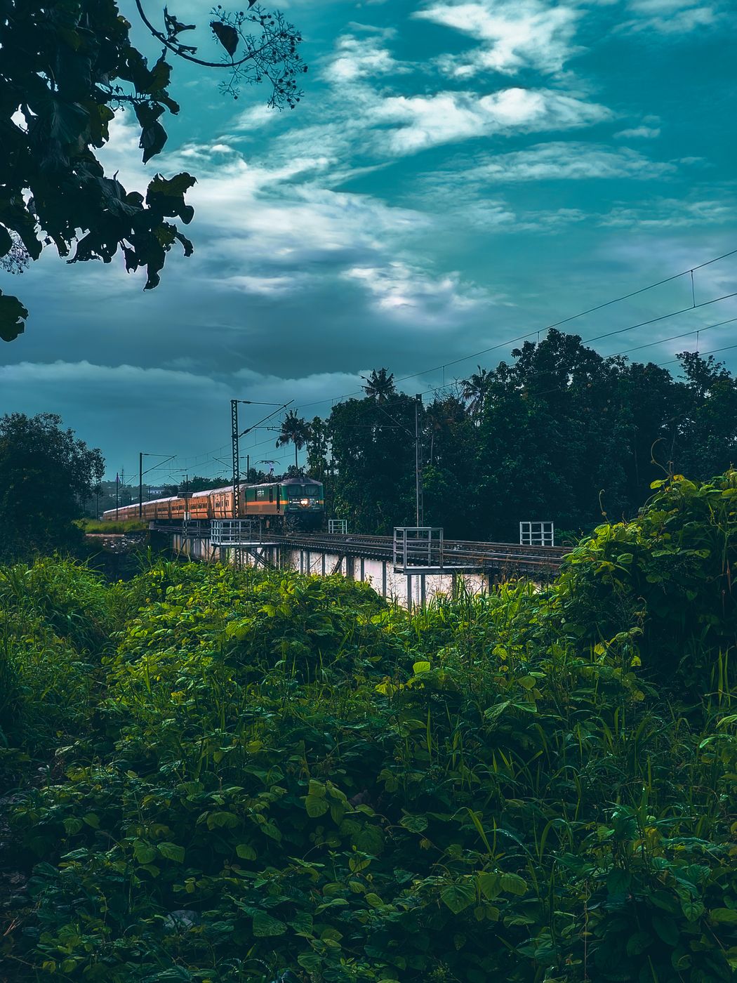 Chalakudy, India