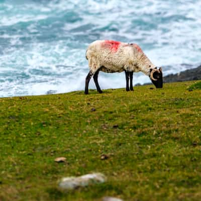 Cloughmore, Ireland