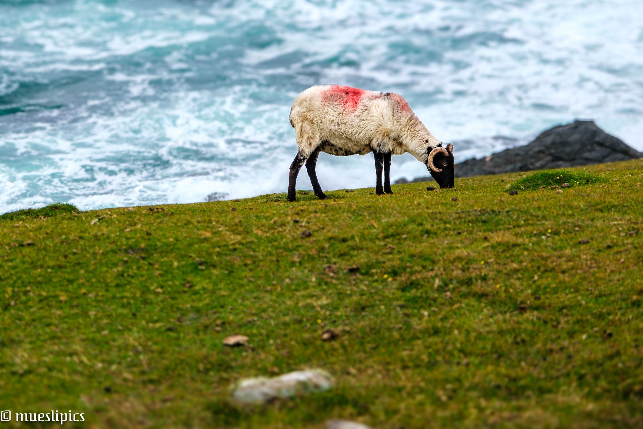Cloughmore, Ireland