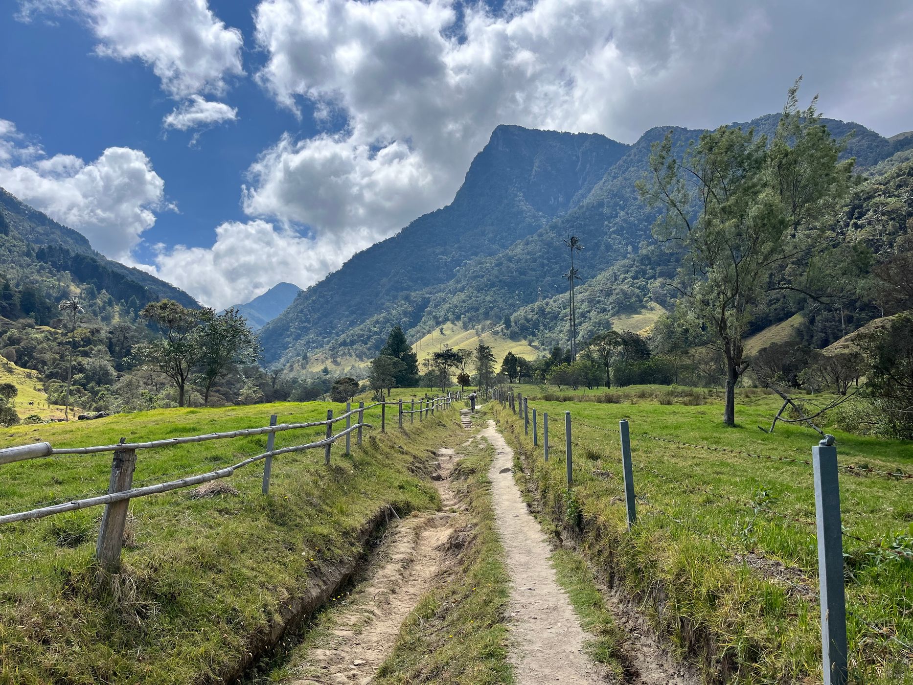 Cocora Valley, Colombia