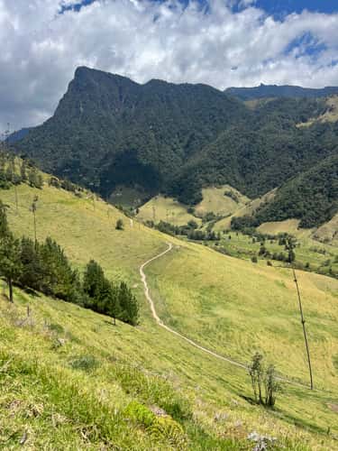 Cocora Valley