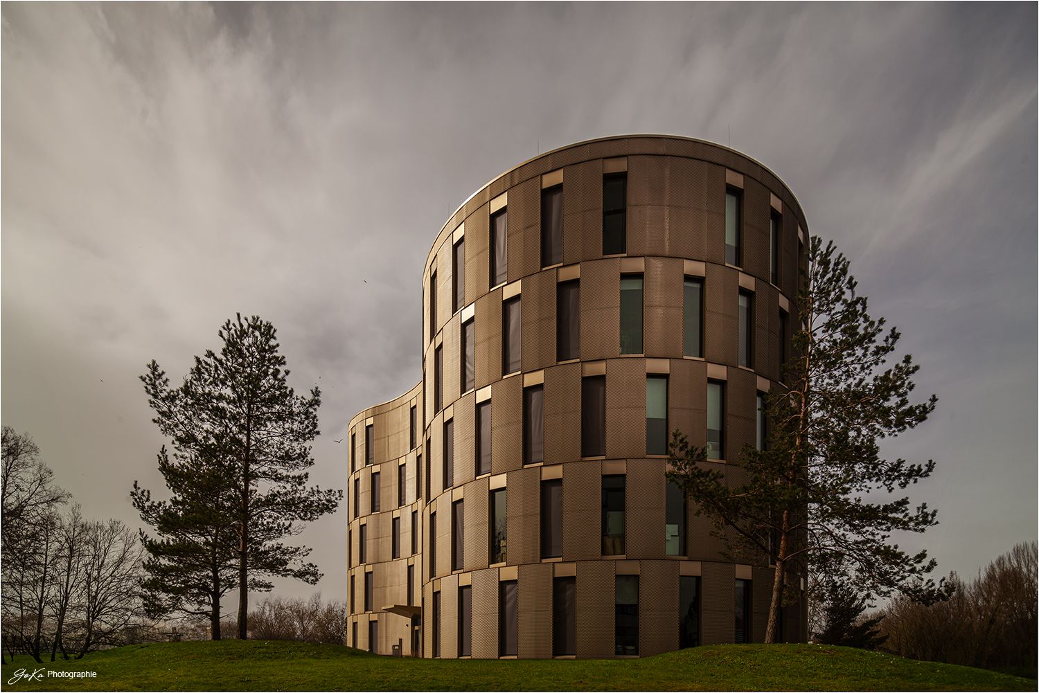 die Amöbe, ZMB der CAU Kiel, Germany