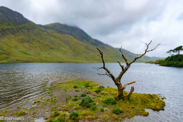 Doo Lough