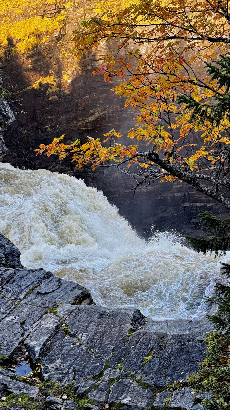 Hällingsåfallet, Sweden