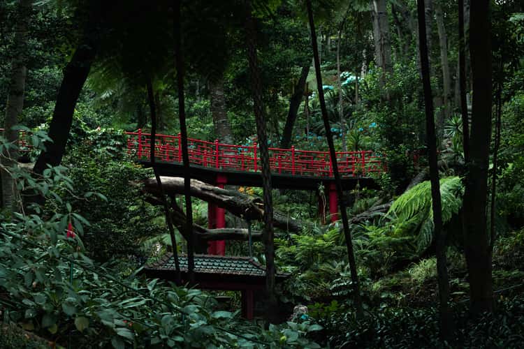 Jardim Tropical Monte Palace