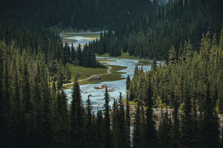 Karakol river near Karakol gorge