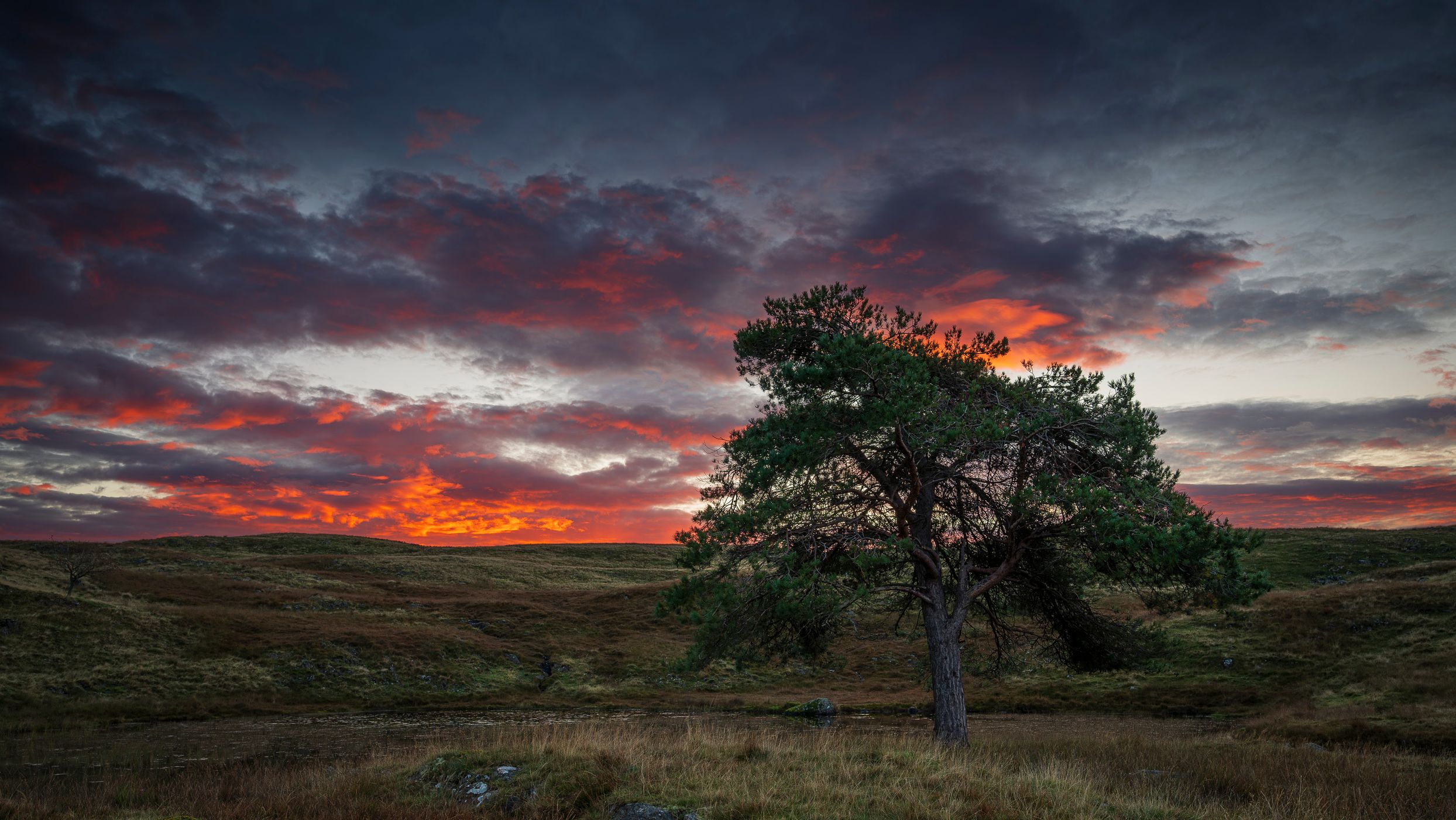 Kelly Hall Tarn, United Kingdom