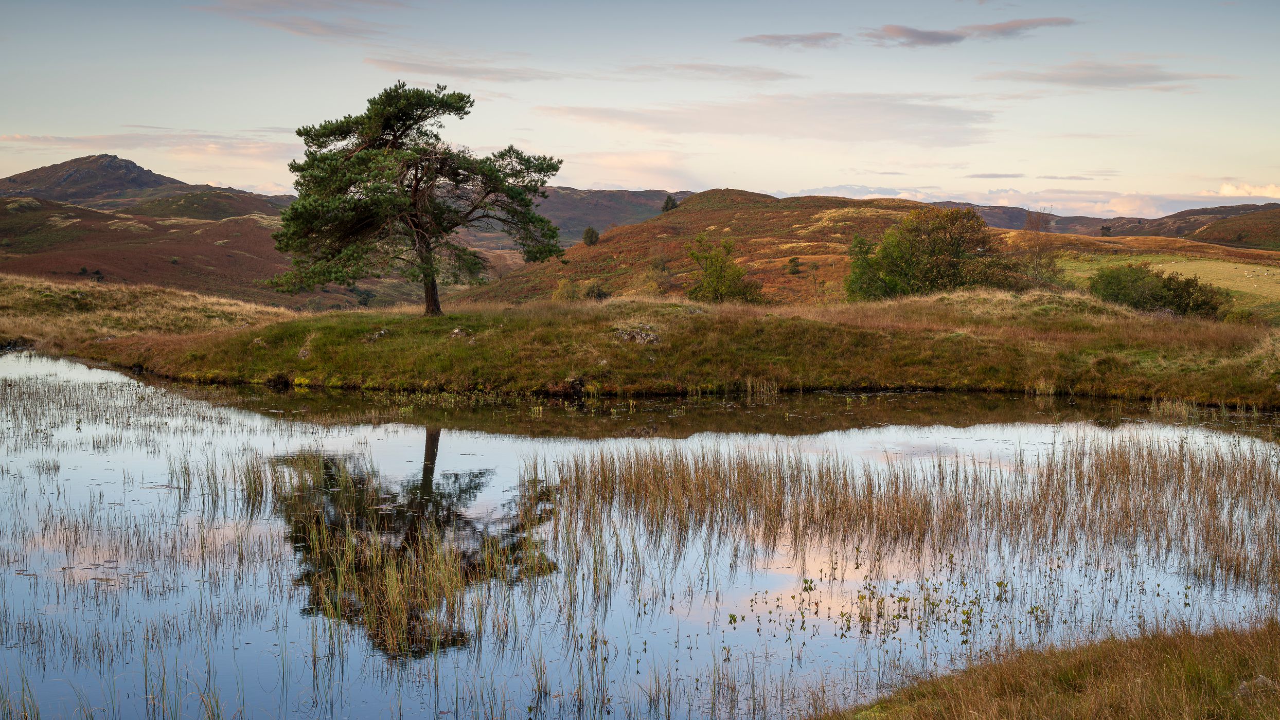 Kelly Hall Tarn, United Kingdom