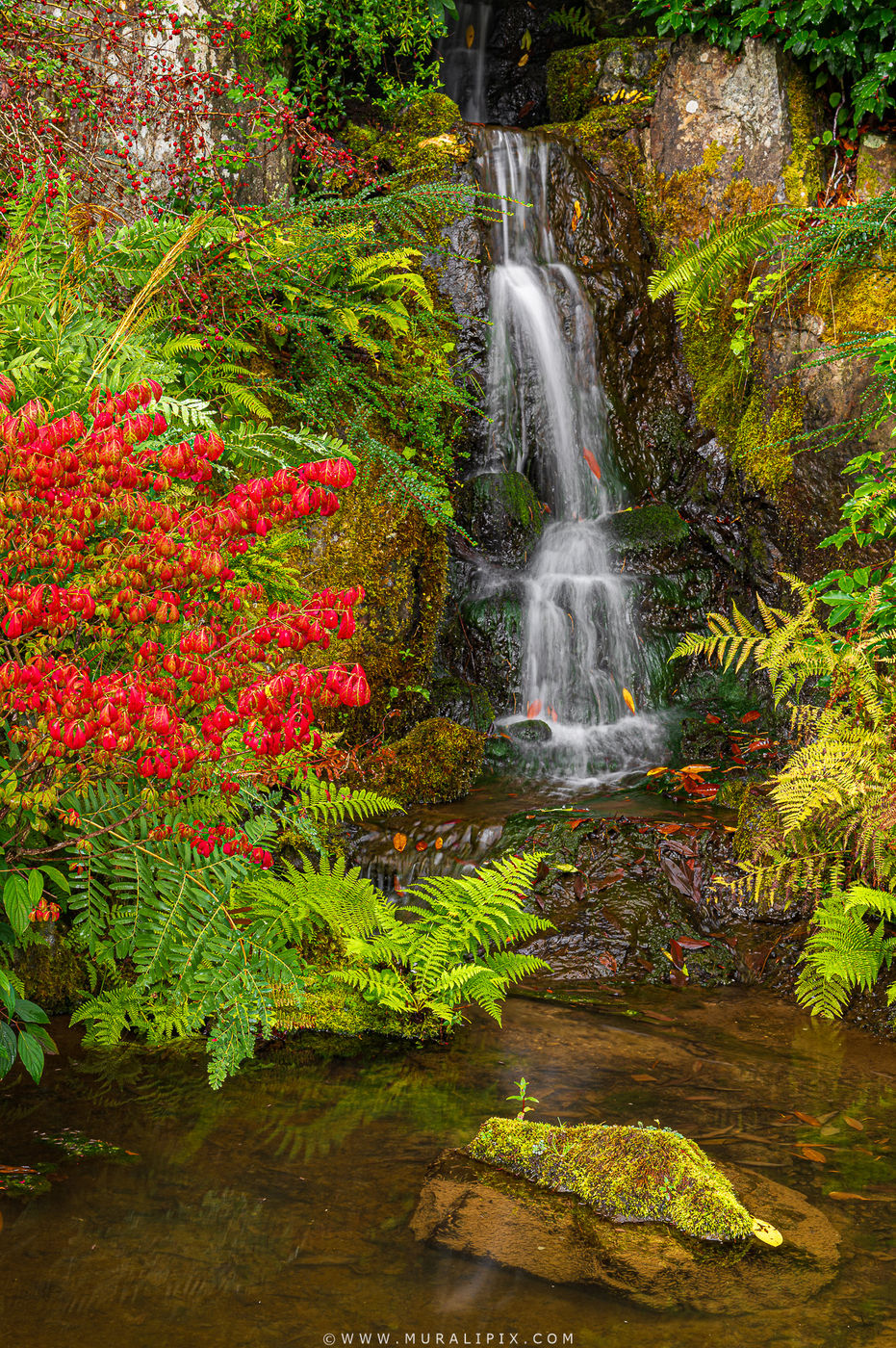 Kubota Garden Waterfall, Seattle, USA