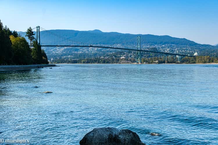 Lions Gate Bridge View