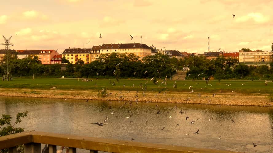 Mannheim bridge