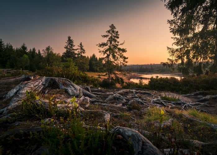 Oderteich