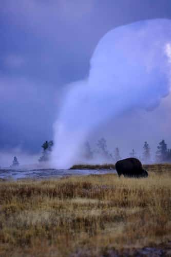 Old Faithful
